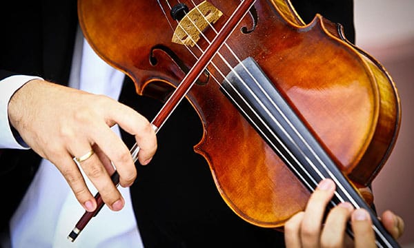 Viola-being-played-small Home